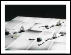 White Bird Featherless White Bird Featherless